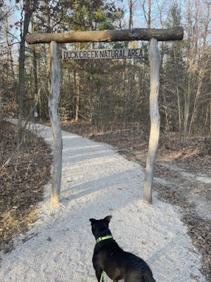 Duck Creek Natural Area