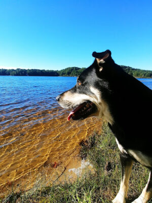 Duck Lake State Park