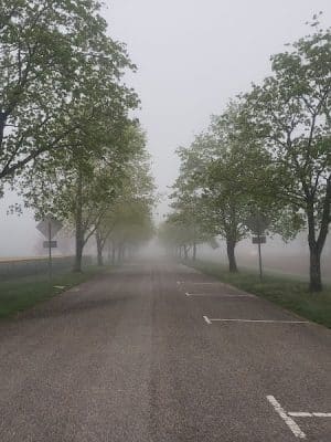 Bowker Park
