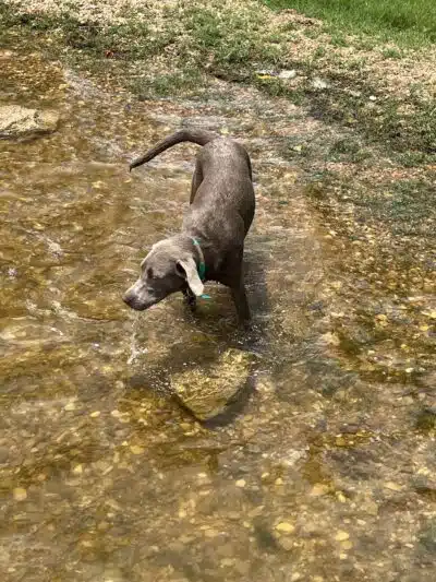 Lofers Bend Day Use Park - Whitney, TX
