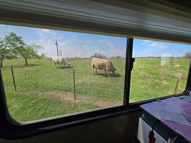 933 RV Park - Whitney, TX