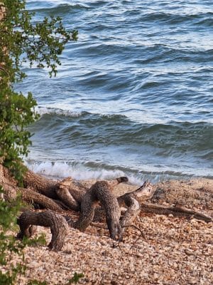 Lake Whitney State Park