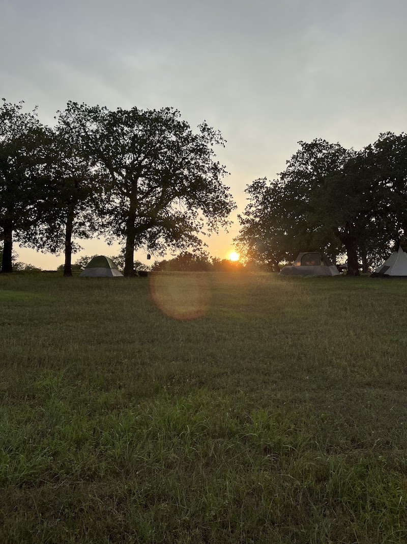 Lofers Bend Day Use Park - Whitney, TX