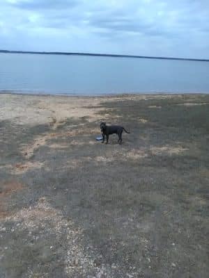 McCown Valley Park