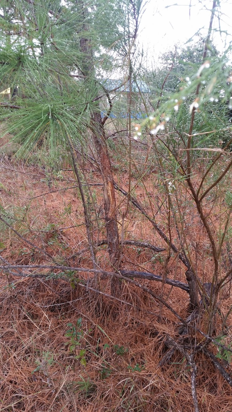 Riverside Park - Whitney, TX