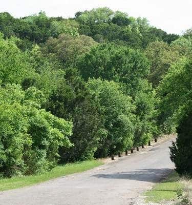 Thousand Trails Lake Whitney