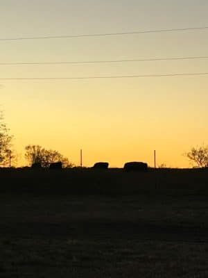 Whitney Willow RV Park