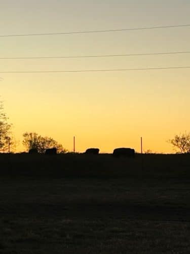 Whitney Willow RV Park