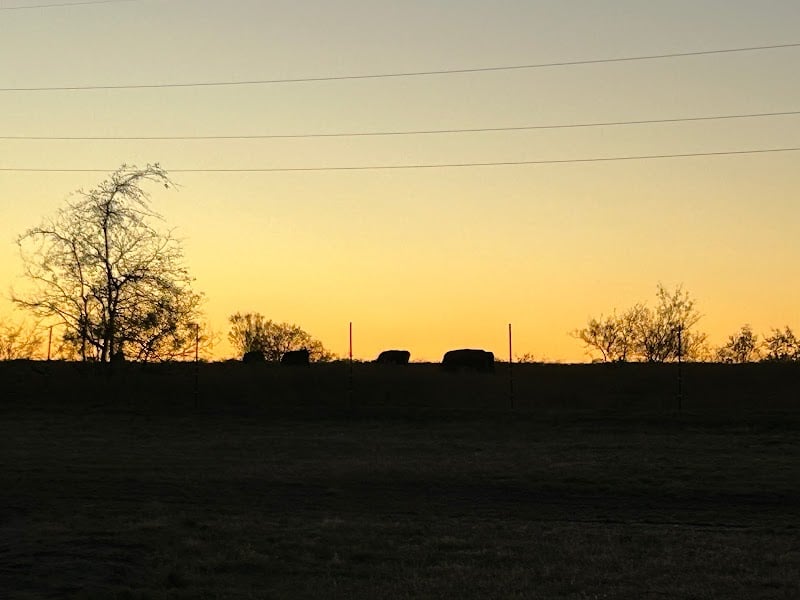 Whitney Willow RV Park - Whitney, TX