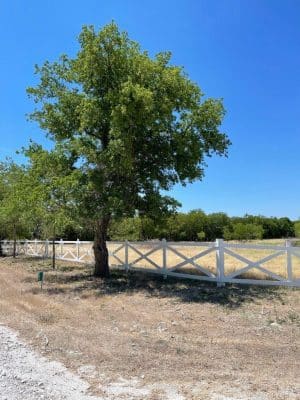 Whitney Willow RV Park