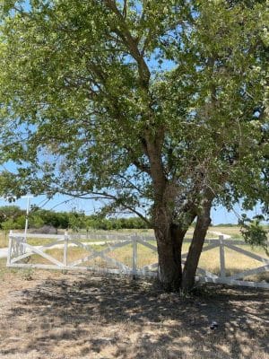 Whitney Willow RV Park