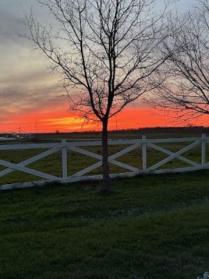 Whitney Willow RV Park