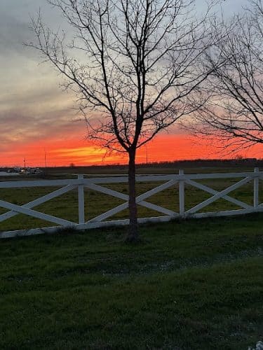 Whitney Willow RV Park
