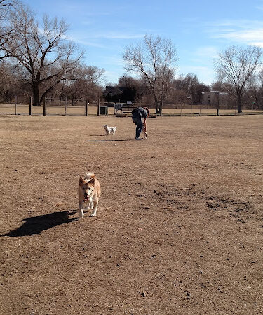 K-9 Rooster Dog Park