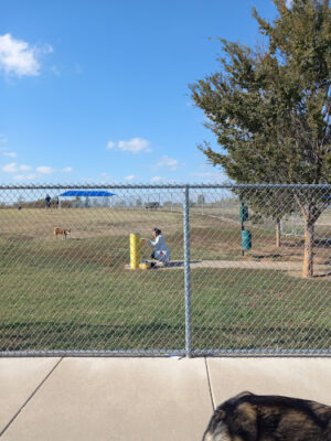 Murfin Dog Park