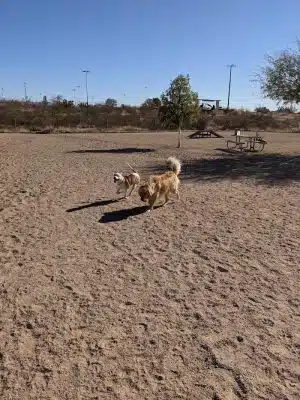 Wickenburg Dog Park