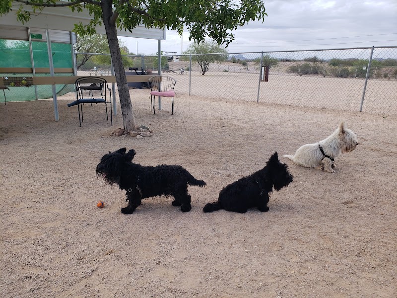Wickenburg Dog Park - Wickenburg, AZ