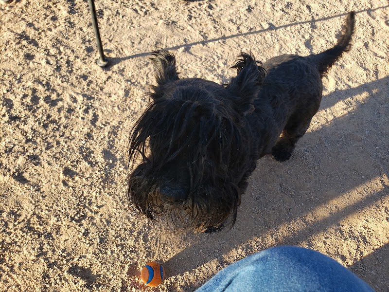 Wickenburg Dog Park - Wickenburg, AZ