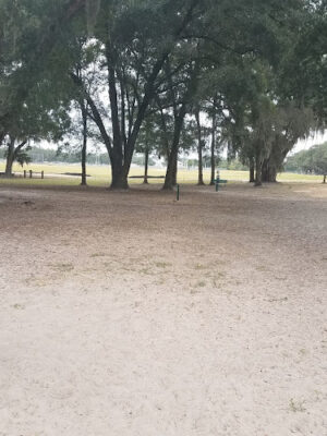 BarkPark of Wildwood