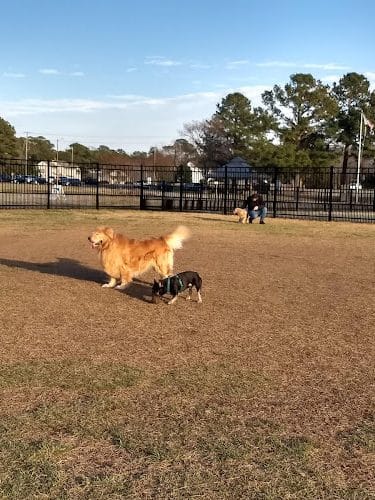 Kidsburg Dog Park