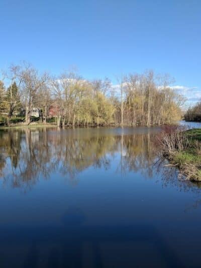 McCormick Park - Williamston,