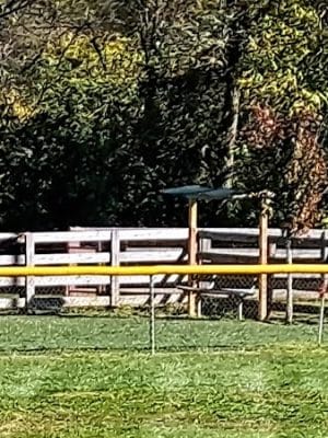 Cocoa Dog Park
