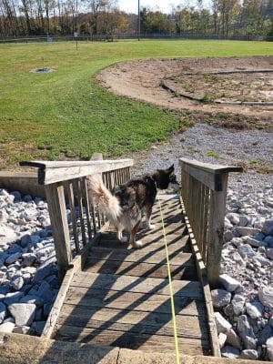 Cocoa Dog Park