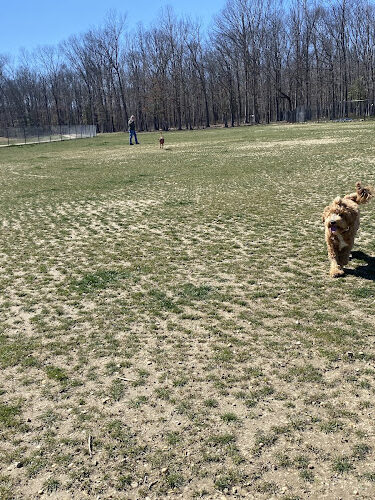 Owens Large Dog Park