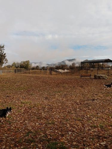 Frank Grasse Dog Park - Willits, CA