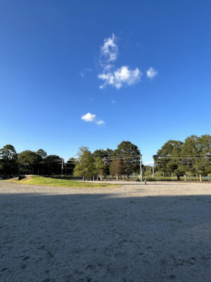 Wilson Dog Park