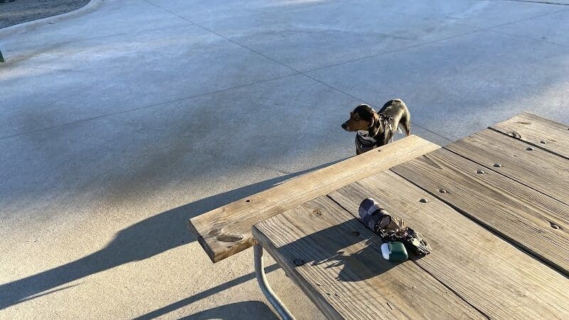 Wilson Dog Park - Wilson,