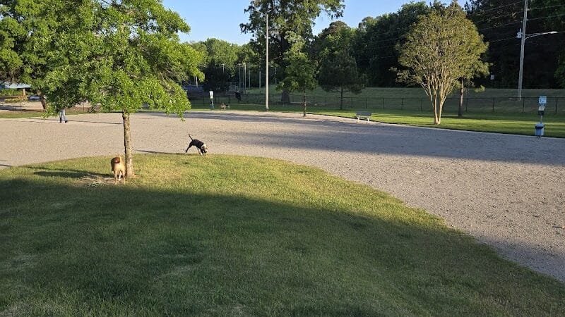 Wilson Dog Park - Wilson,