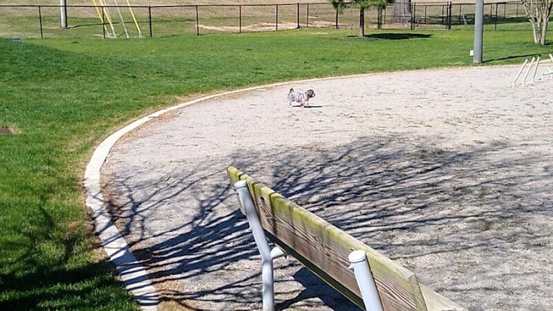 Wilson Dog Park - Wilson,