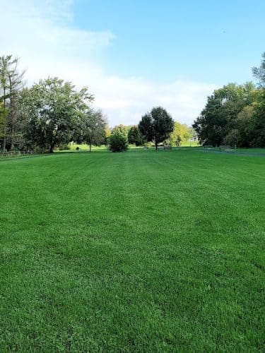 Goodrich Park