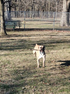 Goodrich Park