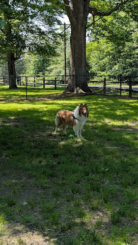 Windber Dog Park