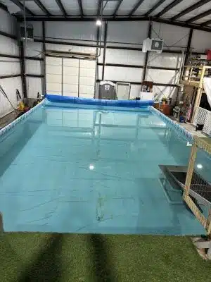 Duke's K9 Dash N' Splash