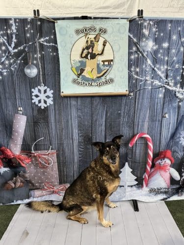 Duke's K9 Dash N' Splash