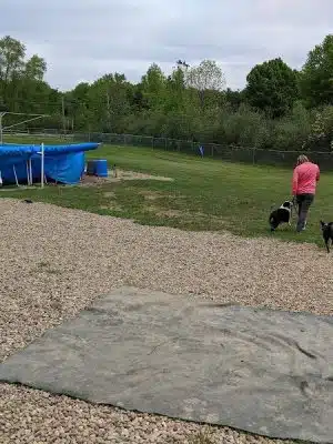 Duke's K9 Dash N' Splash