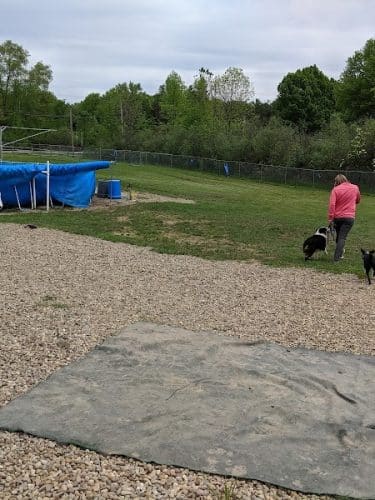Duke's K9 Dash N' Splash
