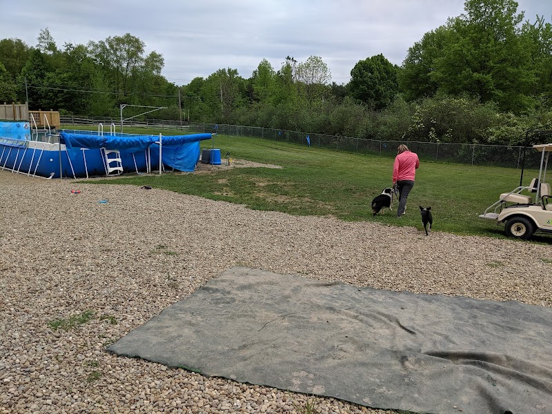 Duke's K9 Dash N' Splash - Windham, OH