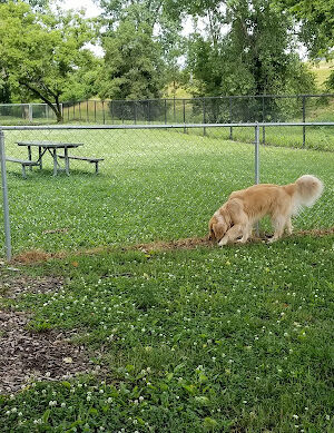 Windsor Heights Dog Park