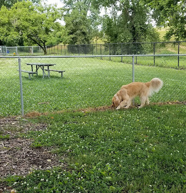 Windsor Heights Dog Park