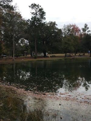 Aiken State Park