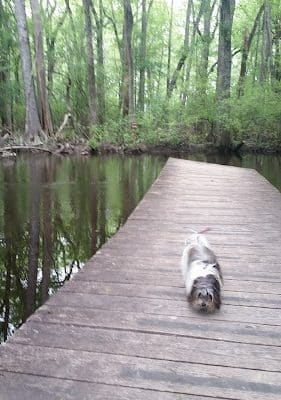 Aiken State Park