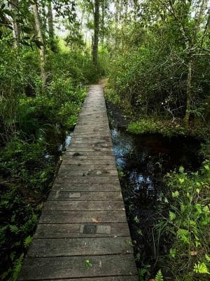 Aiken State Park