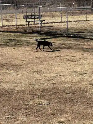 Winslow Bark Park