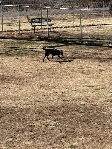 Winslow Bark Park - Winslow, AZ