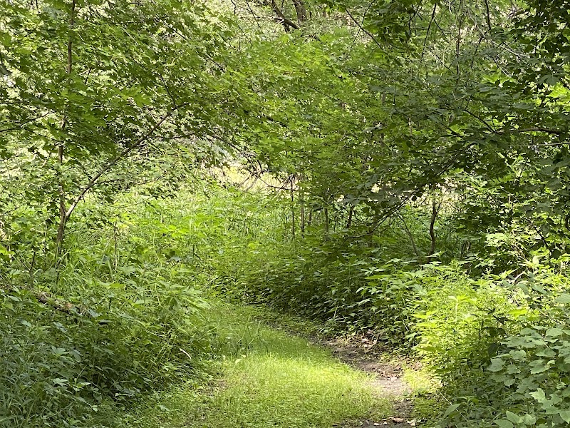 Buffalo Creek Area - Winthrop, IA