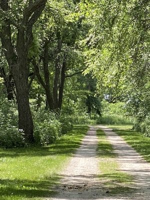 Buffalo Creek Area